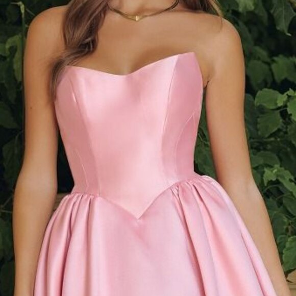 New Rose Pink Fit & Flare Formal Gown w/ Basque Waistline & Lace Up Back CD T822 - Picture 5 of 9
